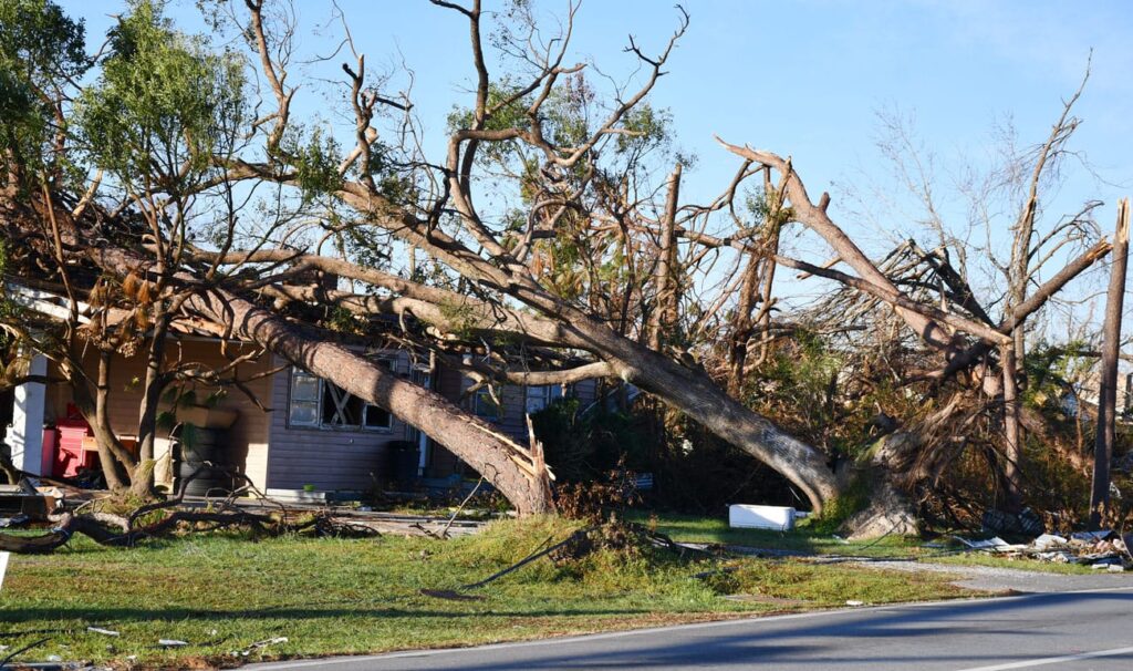 hurricane Michael devastation