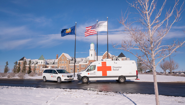 Melaleuca Red Cross Vans