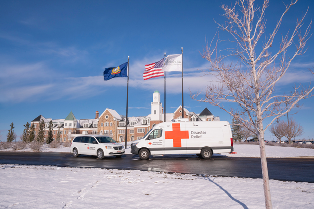 Melaleuca Red Cross Vans