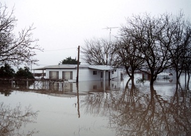 homes and leafless trees in the middle of water during flooding.