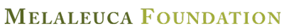 foundationlogotypographyonly foundationlogotypographyonly