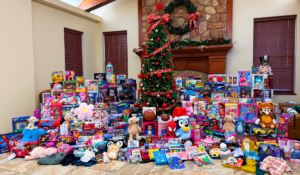 Melaleuca Giving Tree 2024