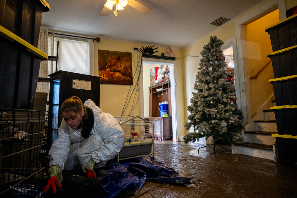 Woman cleaning her house after Washington Floods 2025