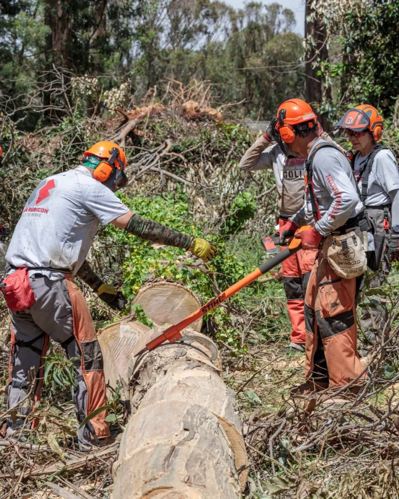 Melaleuca Foundation donations Hurricane Lala Hawaii