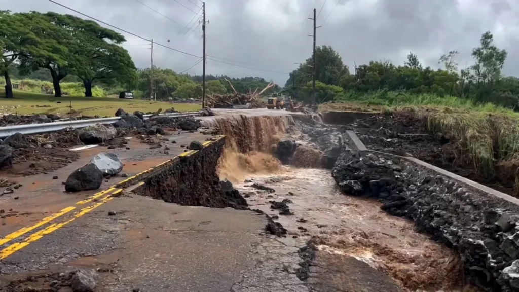 Melaleuca Foundation donations Hurricane Lala Hawaii